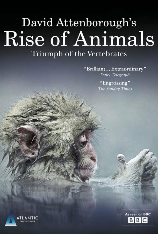 Восстание животных: Триумф позвоночных Rise of Animals: Triumph of the Vertebrates (2013)