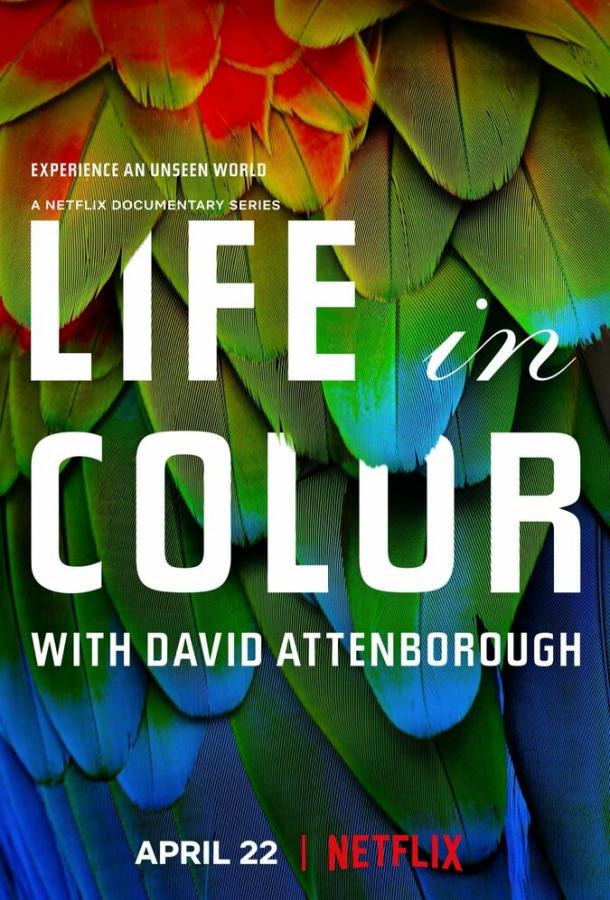 Жизнь в цвете с Дэвидом Аттенборо Life in Colour (2021)