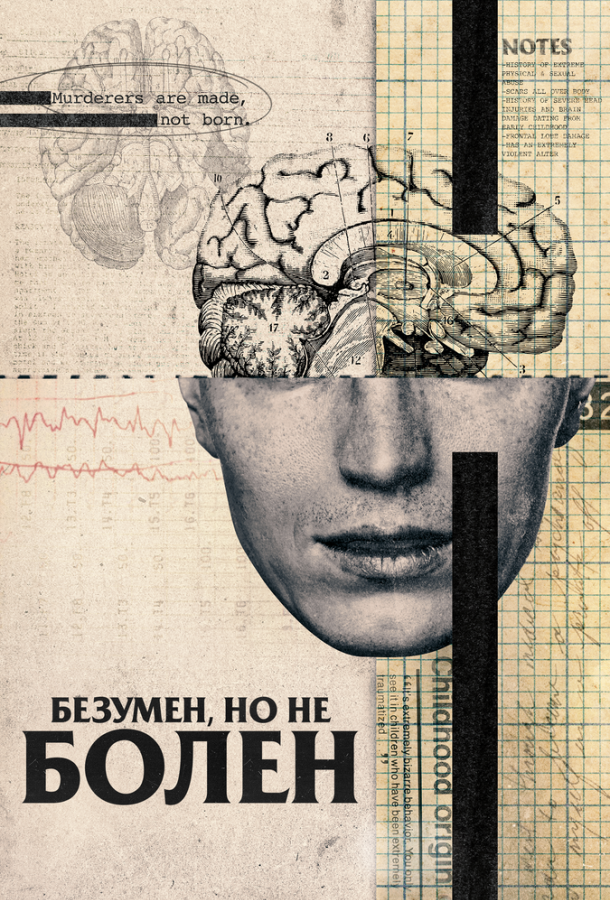 Безумен, но не болен Crazy, Not Insane (2020)