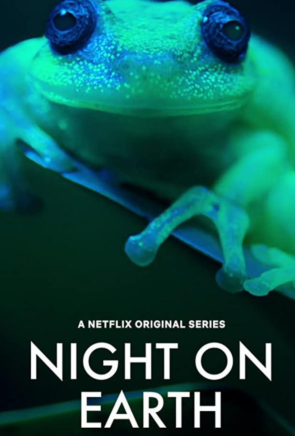 Ночь на Земле Night on Earth (2020)