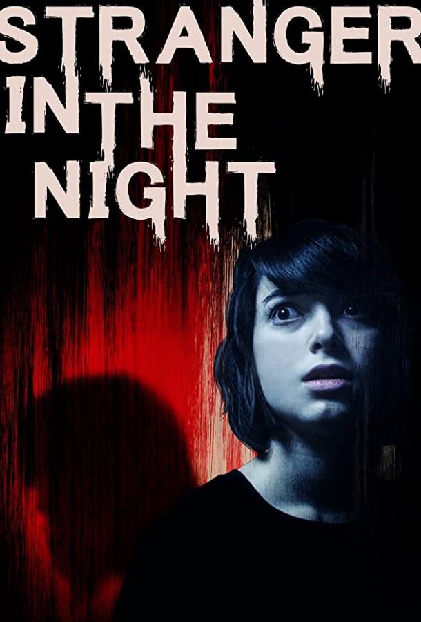 Незнакомец в ночи Stranger in the Night (2017)