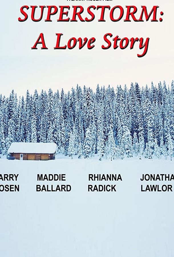 Ураган: история любви Superstorm: A Love Story (2019)