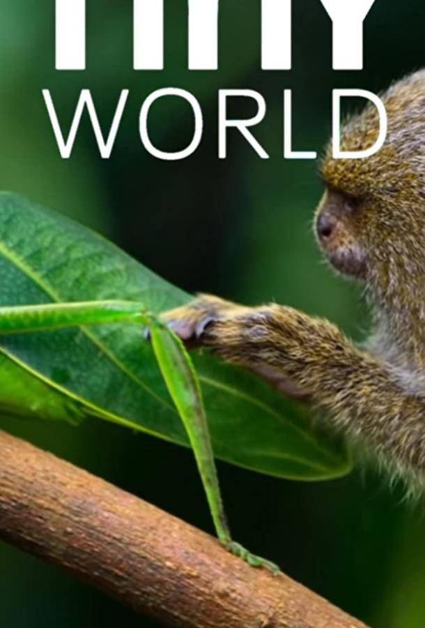 Крошечный мир Tiny World (2020)