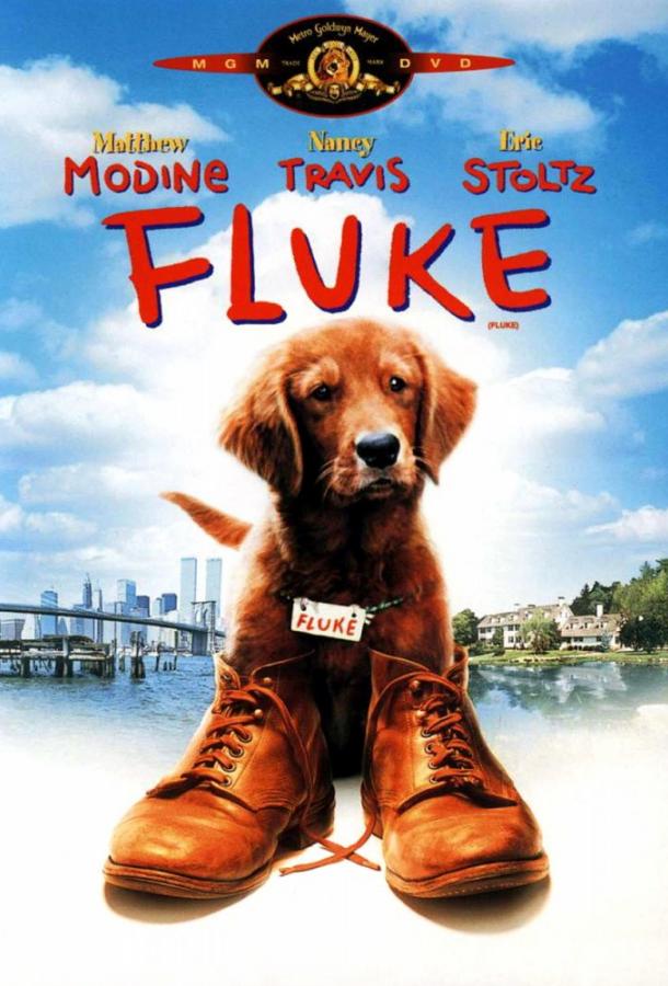 Флюк / Пёс по-прозвищу Счастливчик Fluke (1995)