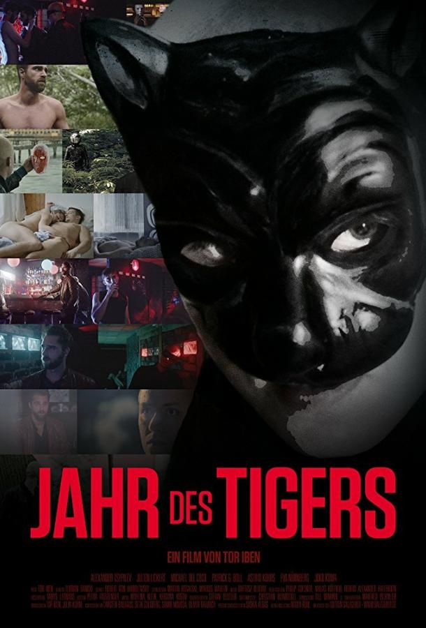 Год, когда я сошел с ума Jahr des Tigers (2017)