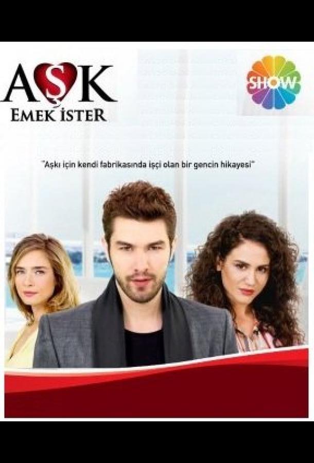 Любовь требует усилий Aşk Emek İster (2013)