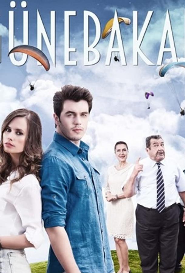 Подсолнух Gunebakan (2015)