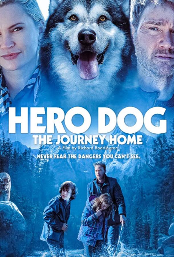 Собака-герой: путешествие домой Hero Dog: The Journey Home (2021)