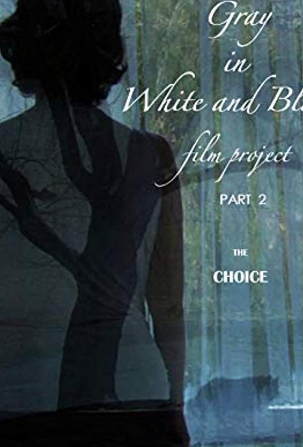 Серый в чёрно-белом, часть 2: Выбор Gray in White and Black Film Project part 2: The Choice (2019)