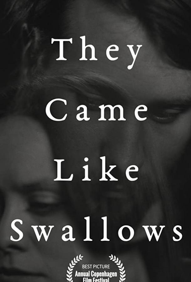 Возвращение ласточек They Came Like Swallows (2020)
