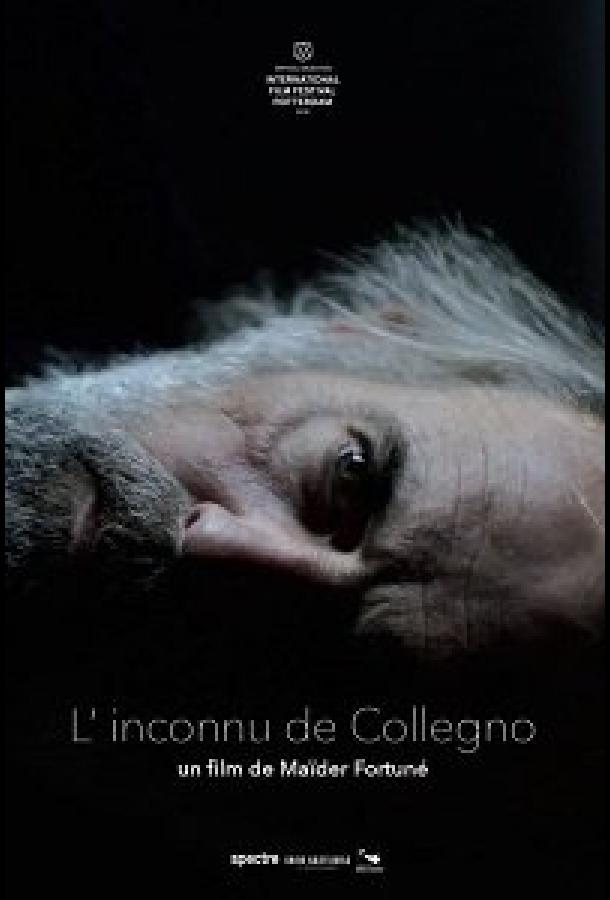 Незнакомец из Колленьо L'inconnu de Collegno (2019)
