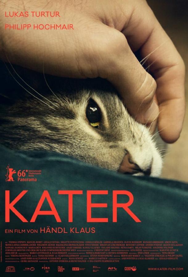 Кот Kater (2016)