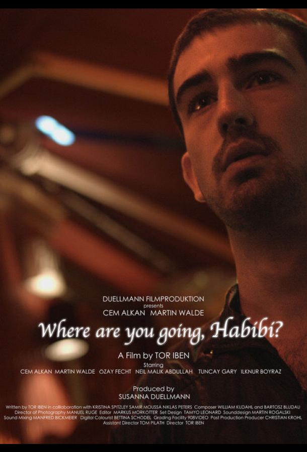Куда идёшь, любимый? Wo willst du hin, Habibi? (2015)