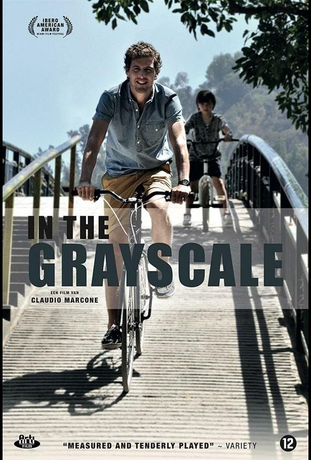 В оттенках серого En la Gama de los Grises (2015)