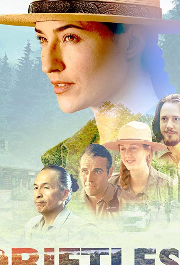 Дрифтлесс Driftless (2020)