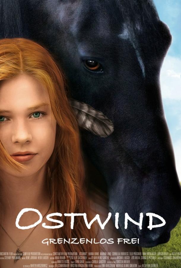 Оствинд / Восточный ветер Ostwind (2013)