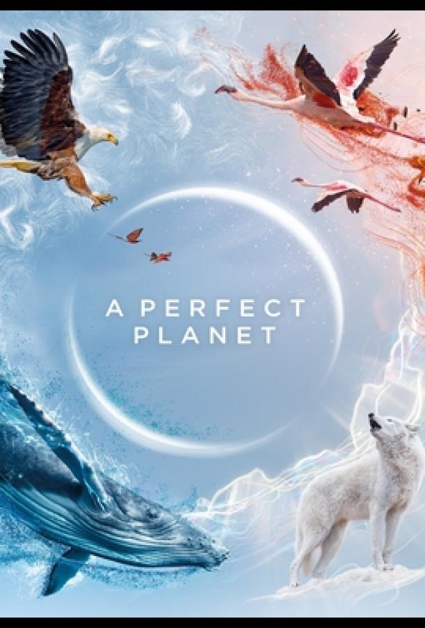 Идеальная планета A Perfect Planet (2021)