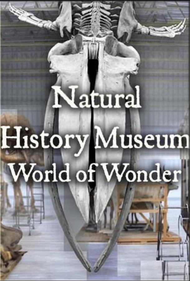 Музей естественной истории: чудо-мир Natural History Museum: World of Wonder (2021)